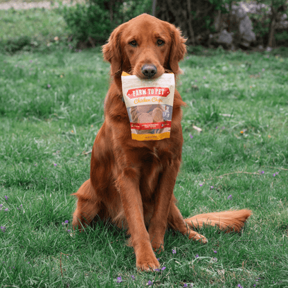 Farm to Pet Chicken Chips Single-Ingredient Dog Treats