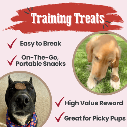Farm to Pet Beef Chips Single-Ingredient Dog Treats