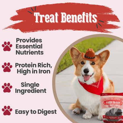 Farm to Pet Beef Chips Single-Ingredient Dog Treats