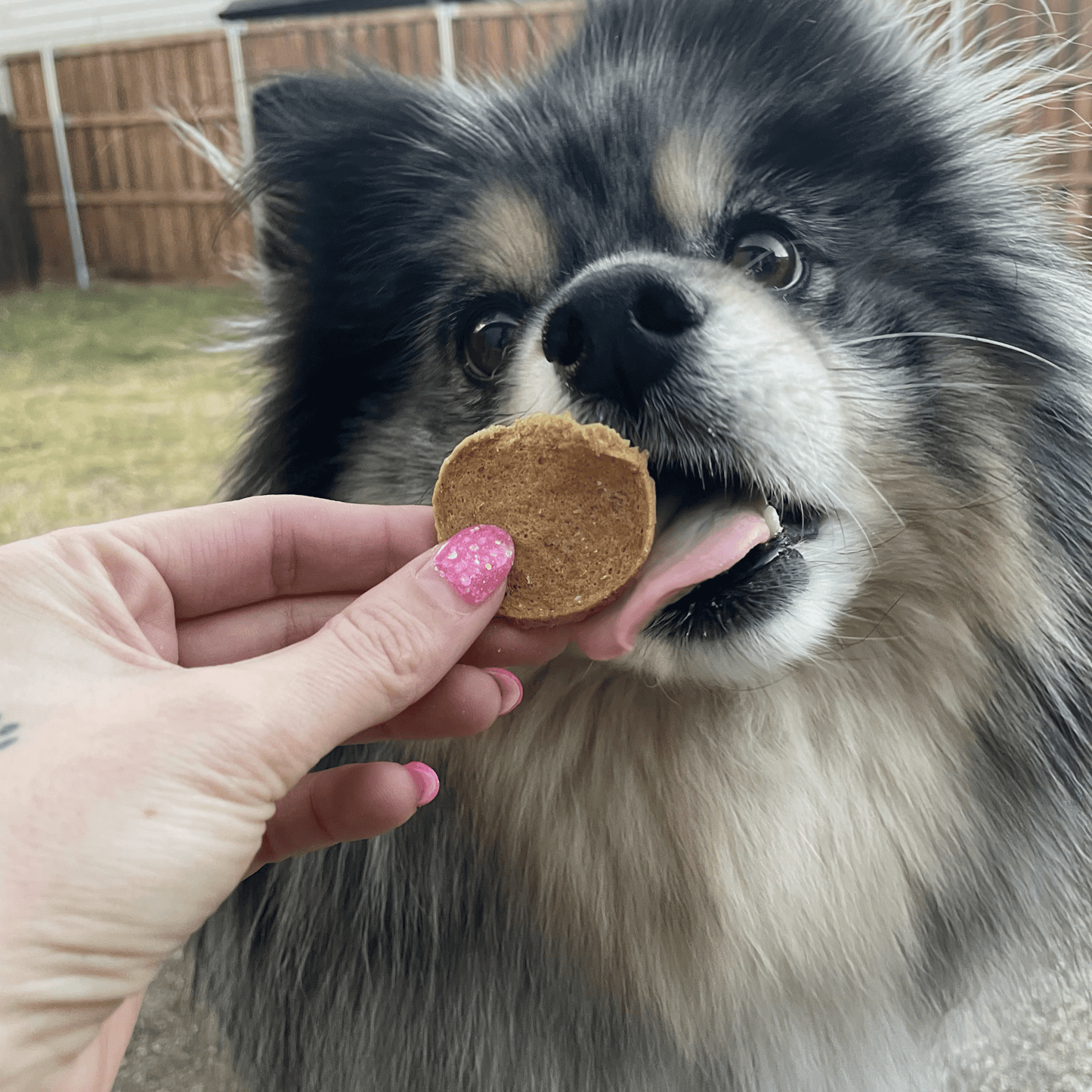 Farm to Pet Fish Chips Wild-Caught Walleye Dog Treats