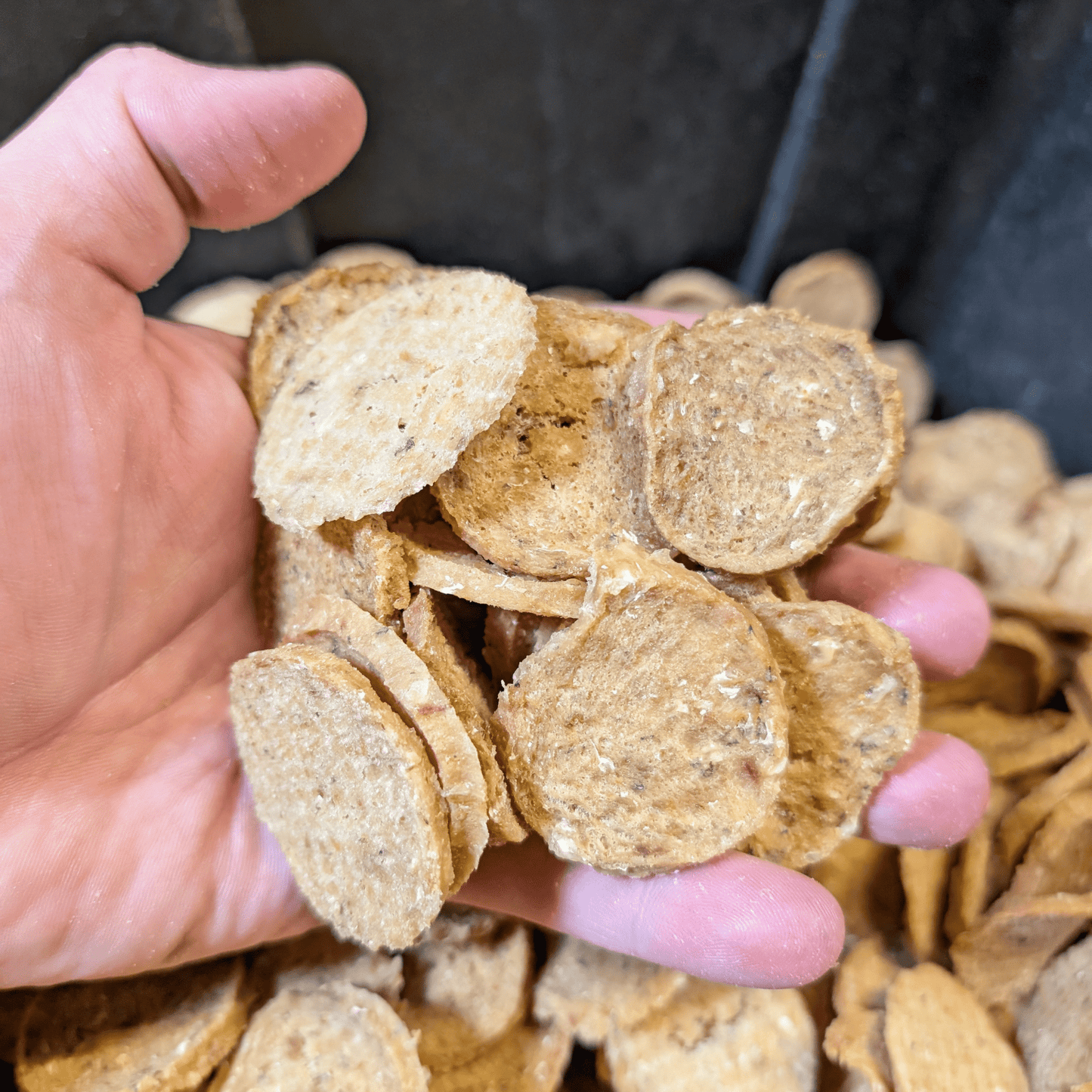 Farm to Pet Fish Chips Wild-Caught Walleye Dog Treats