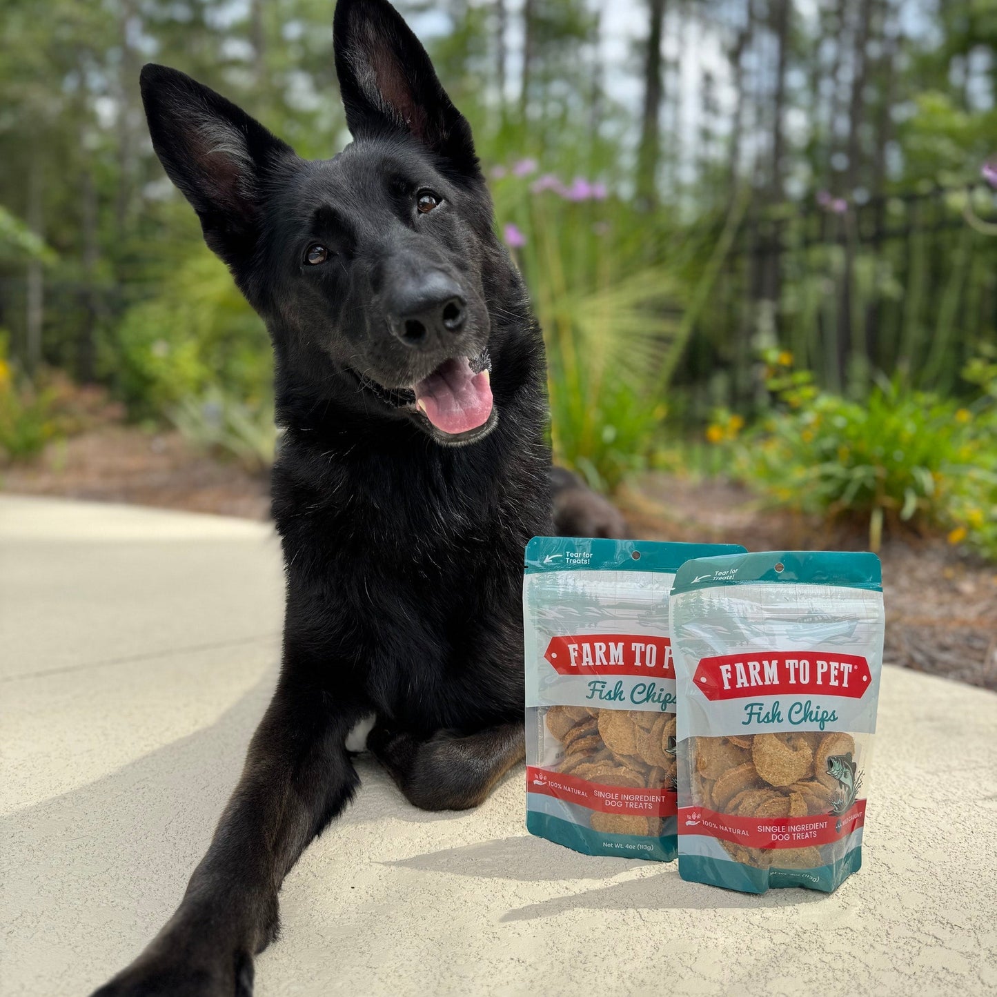 Farm to Pet Fish Chips Wild-Caught Walleye Dog Treats