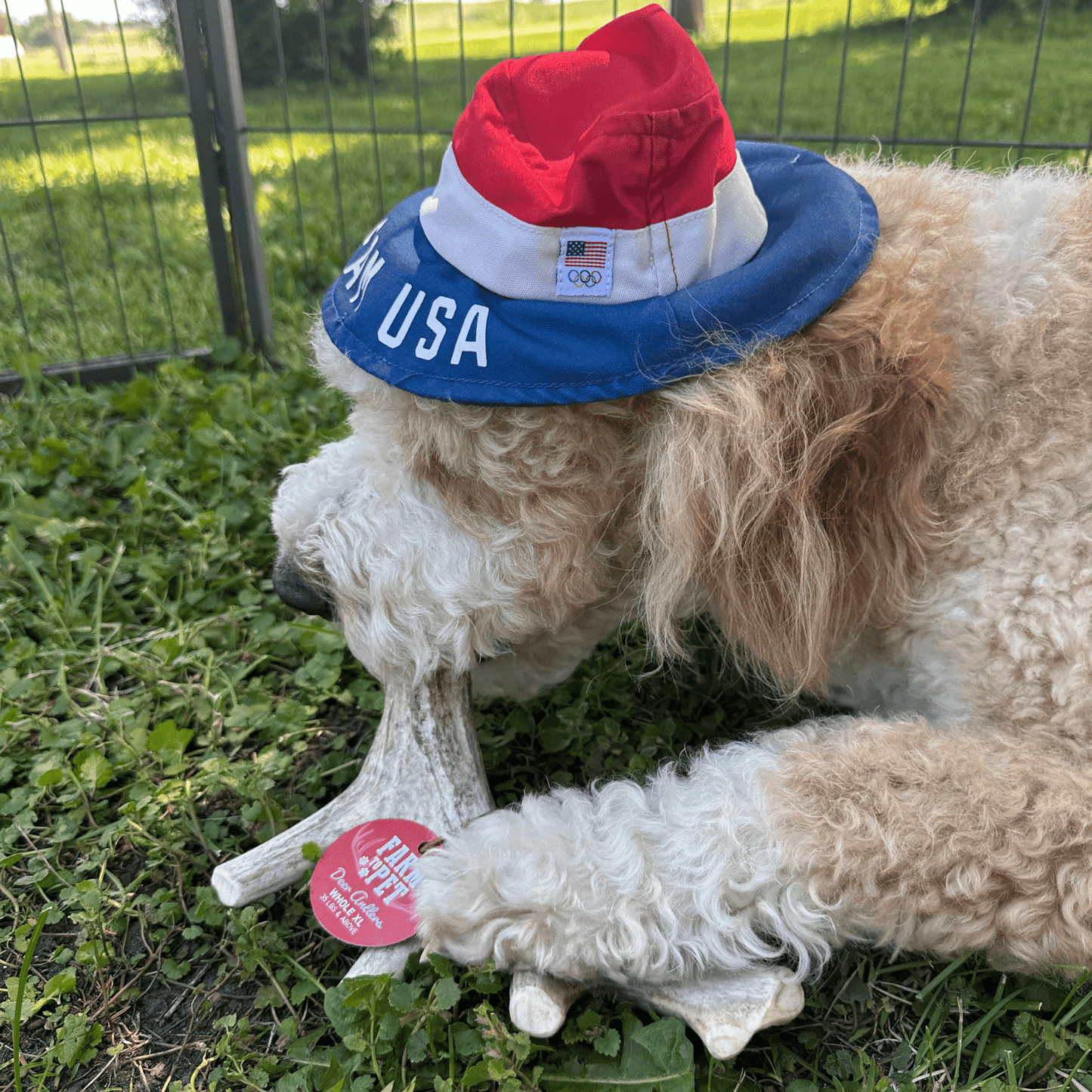 Farm to Pet Deer Antler Dog Chews