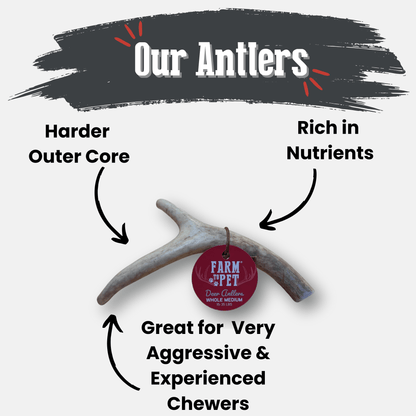 Farm to Pet Deer Antler Dog Chews