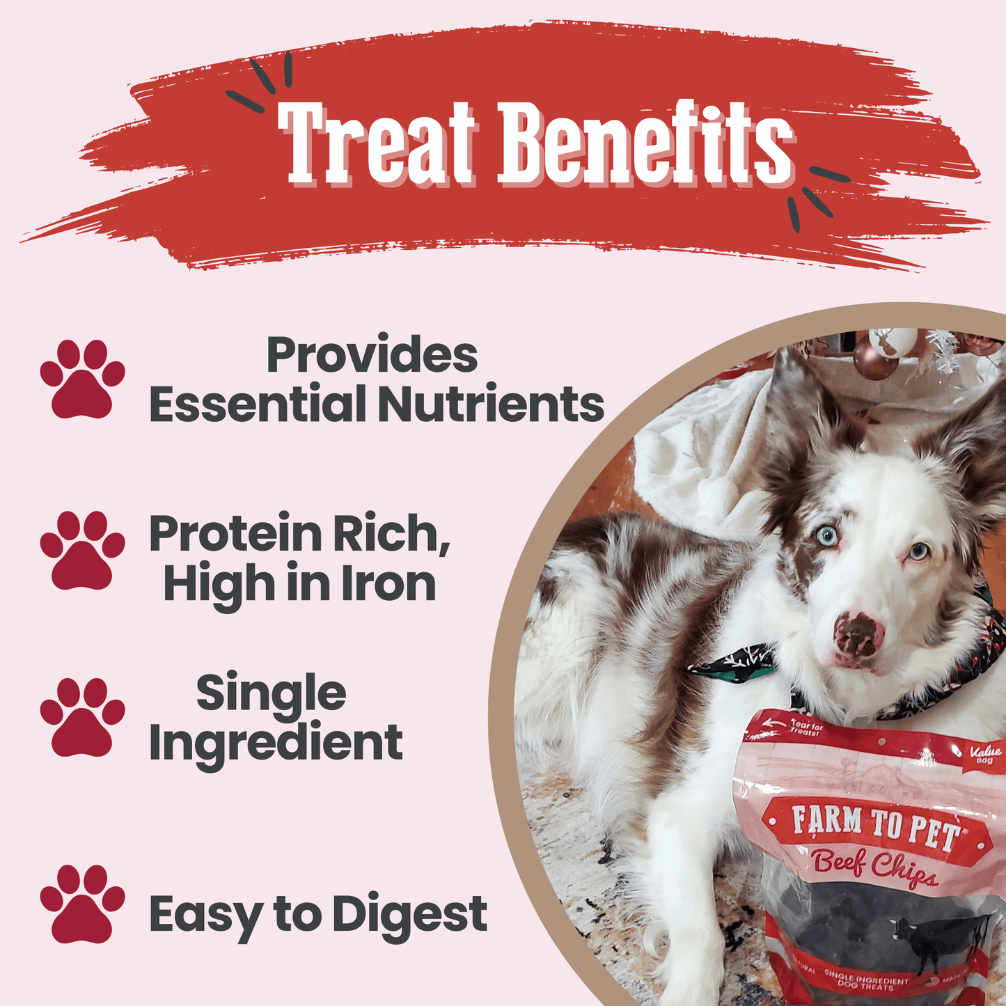 Farm to Pet Beef Chips Single-Ingredient Dog Treats