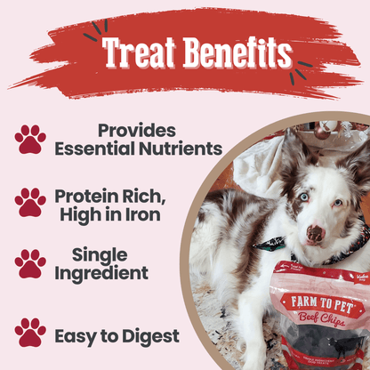 Farm to Pet Beef Chips Single-Ingredient Dog Treats