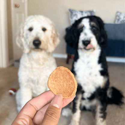 Farm to Pet Chicken Chips Single-Ingredient Dog Treats