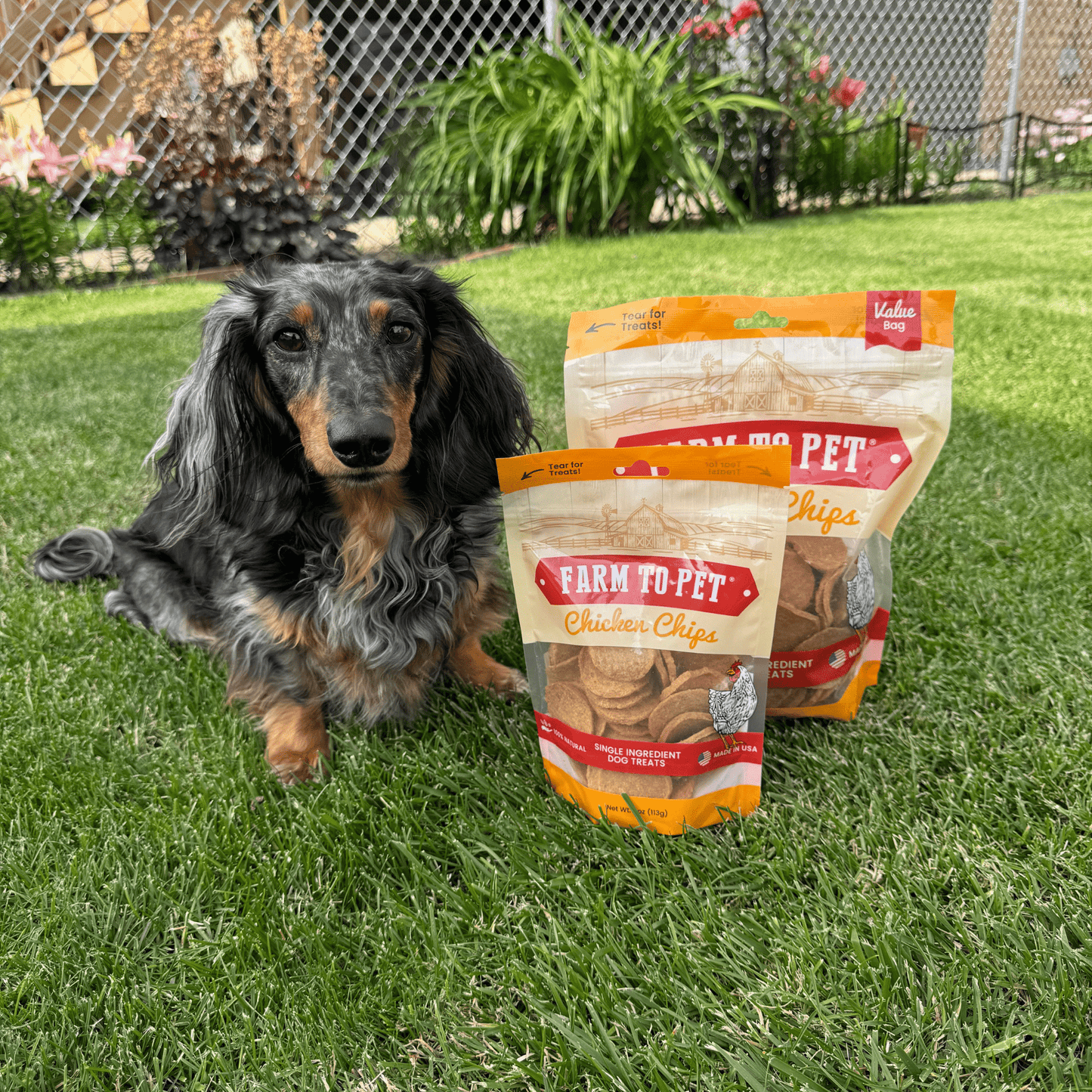 Farm to Pet Chicken Chips Single-Ingredient Dog Treats