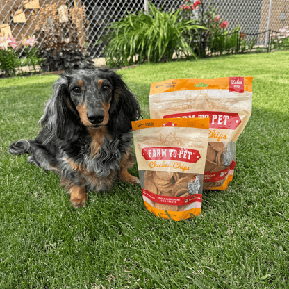 Farm to Pet Chicken Chips Single-Ingredient Dog Treats