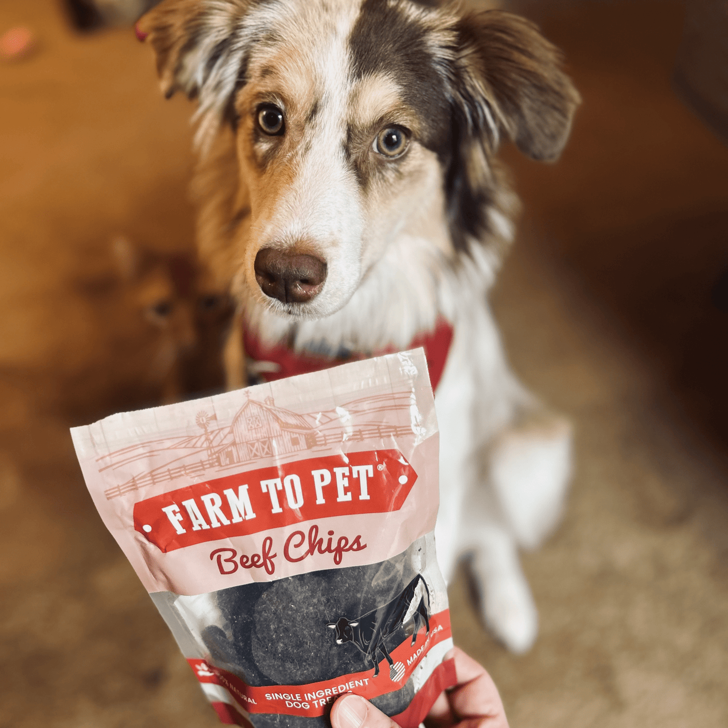 Farm to Pet Puppy Pack Single-Ingredient Dog Treat Starter Pack