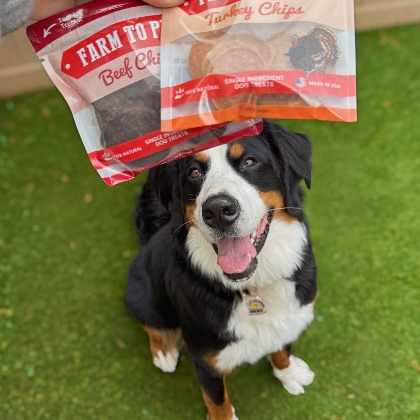 Farm to Pet Puppy Pack Single-Ingredient Dog Treat Starter Pack