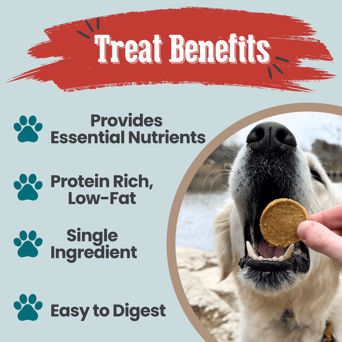 Farm to Pet Fish Chips Wild-Caught Walleye Dog Treats
