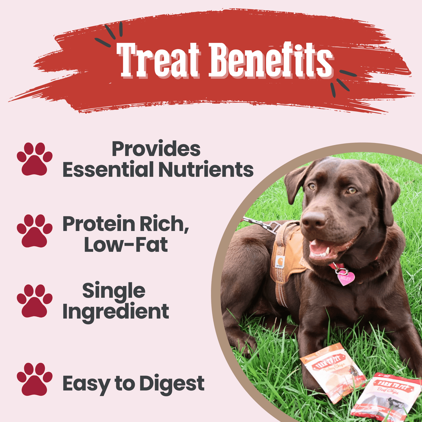 Farm to Pet Puppy Pack Single-Ingredient Dog Treat Starter Pack