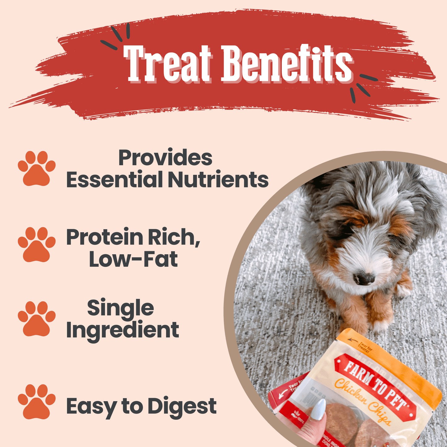 Farm to Pet Puppy Pack Single-Ingredient Dog Treat Starter Pack
