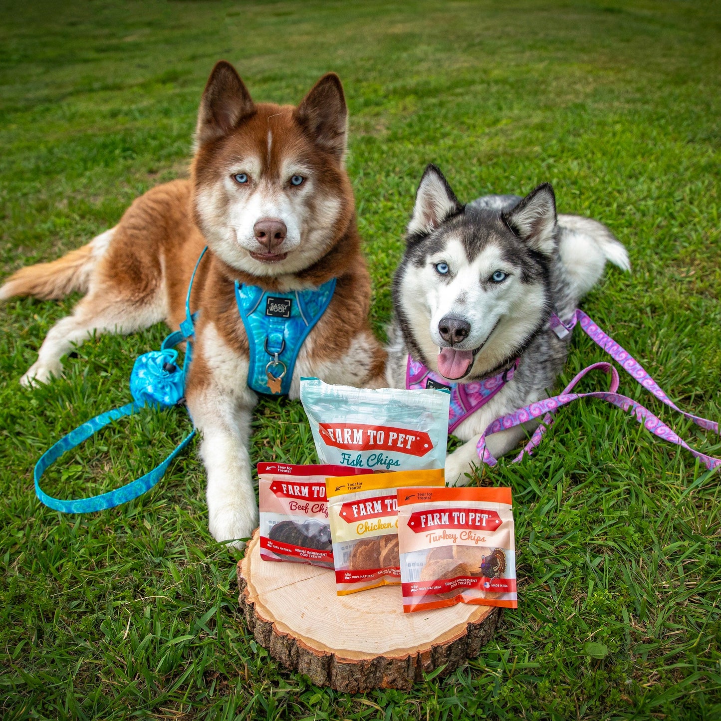 Farm to Pet Puppy Pack Single-Ingredient Dog Treat Starter Pack