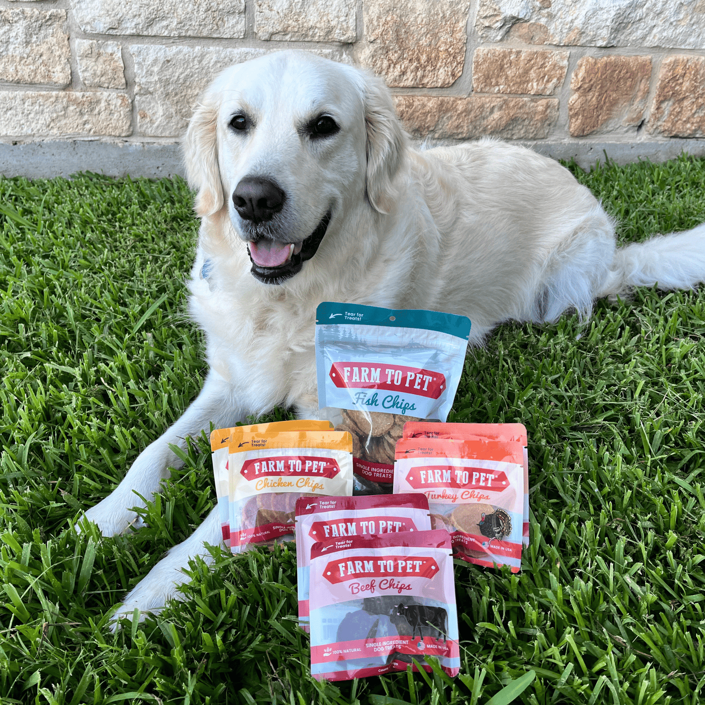 Farm to Pet Puppy Pack Single-Ingredient Dog Treat Starter Pack