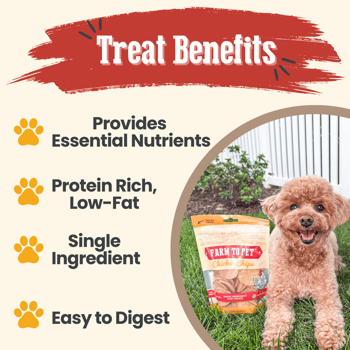 Farm to Pet Chicken Chips Single-Ingredient Dog Treats