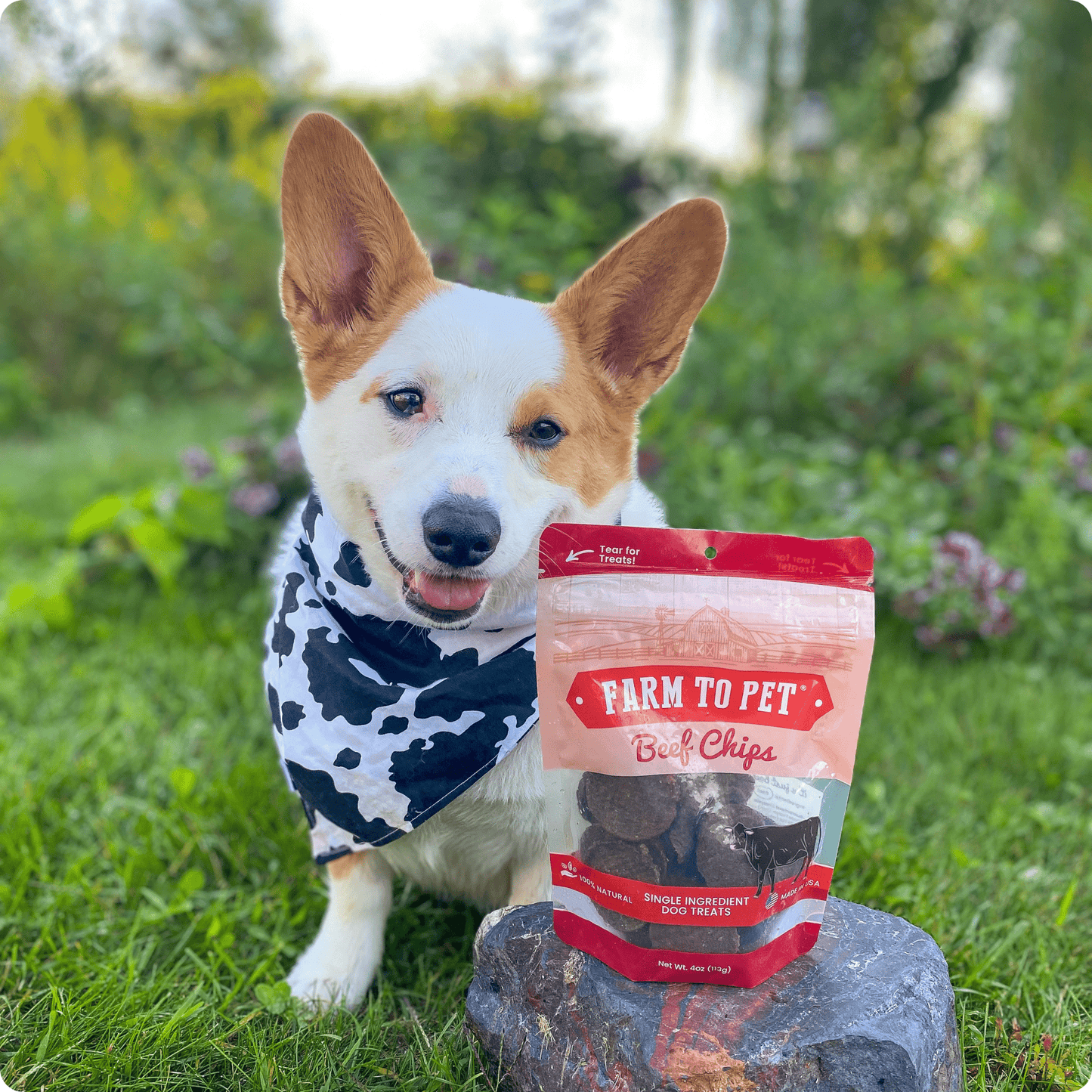Farm to Pet Beef Chips Single-Ingredient Dog Treats