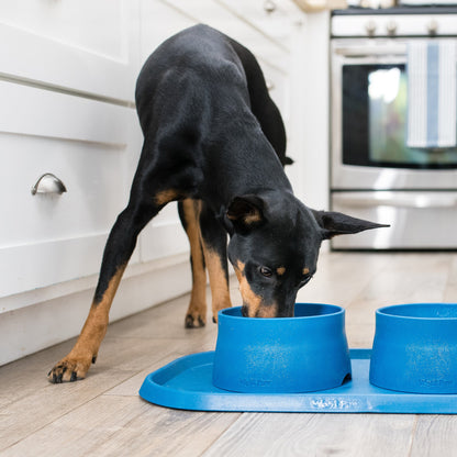West Paw Non-Slip Dog Bowl Placemat