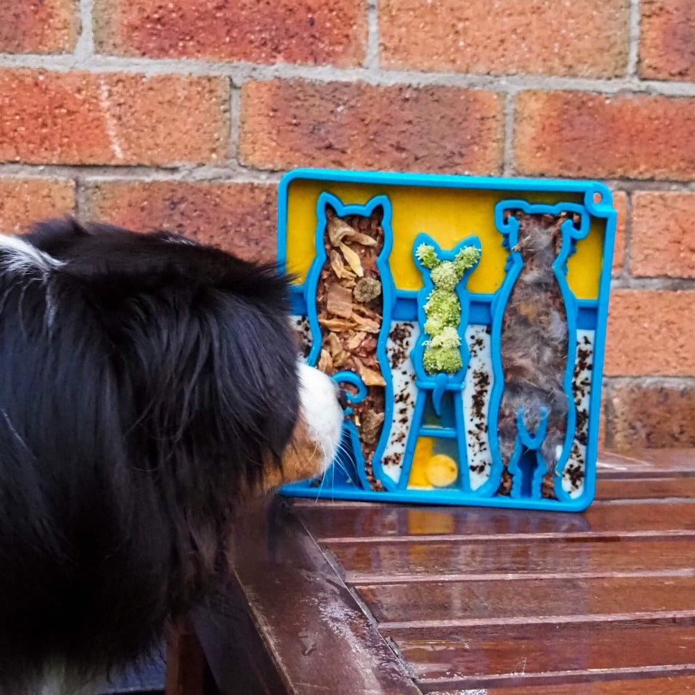 SodaPup Waiting Dogs eTray – Shallow Slow Feeder & Enrichment Tray