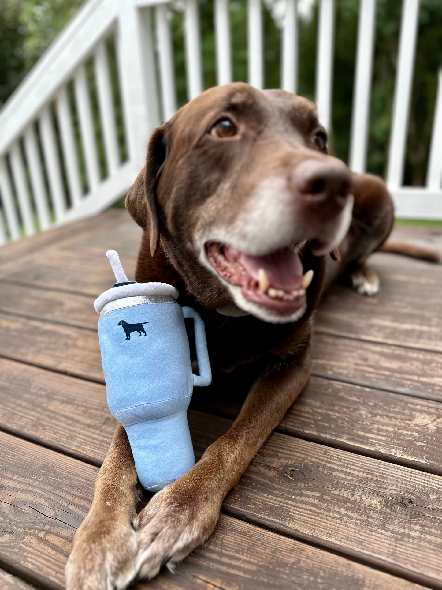 PupRoar Pup Cup Squeaky Plush Dog Toy