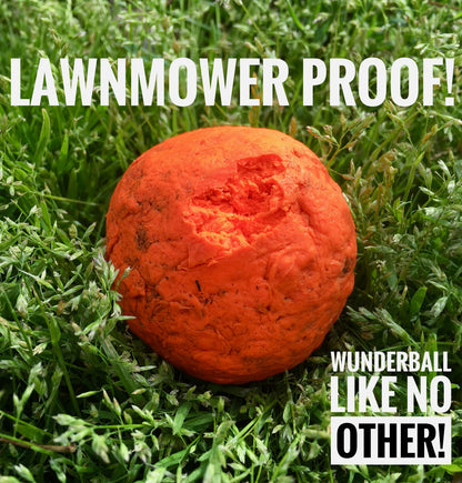 WUNDERball Fetch Toy – Natural Rubber Dog Ball