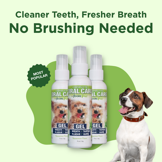 Pet Oral Care Gel - Peppermint