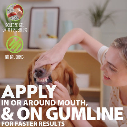 Pet Oral Care Gel - Salmon