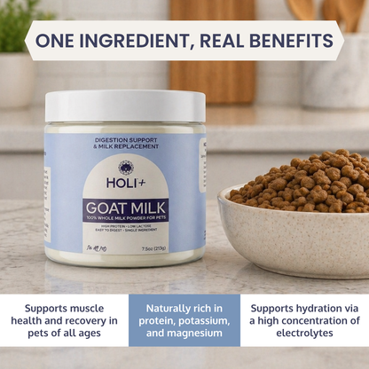 Holi Powdered Goat Milk for Dogs & Cats – Single-Ingredient Topper & Milk Replacer