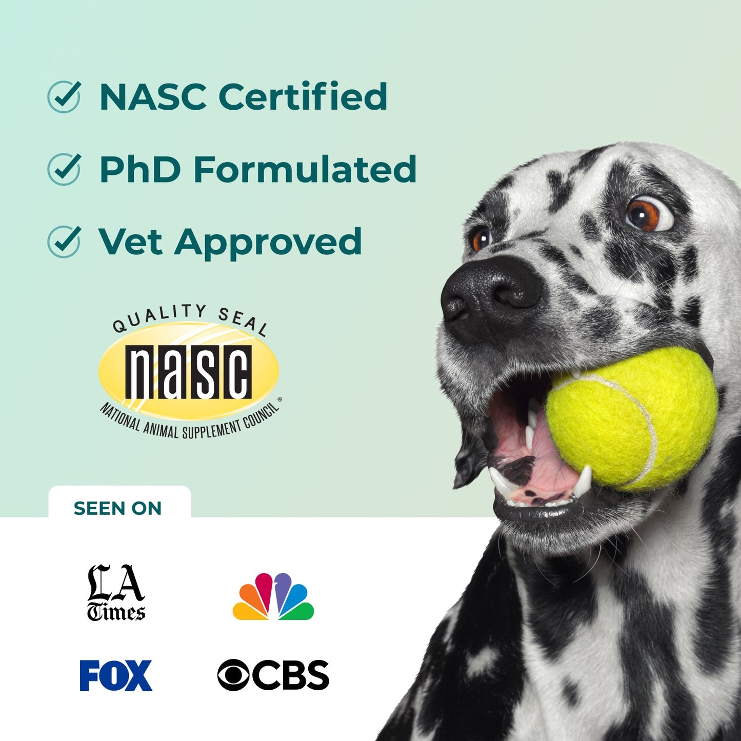 Googipet Fresh Breath Dental Powder for Dogs