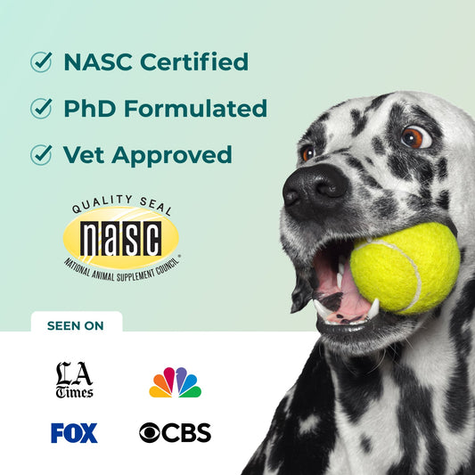 Googipet Fresh Breath Dental Powder for Dogs