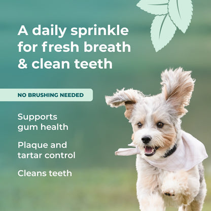 Googipet Fresh Breath Dental Powder for Dogs