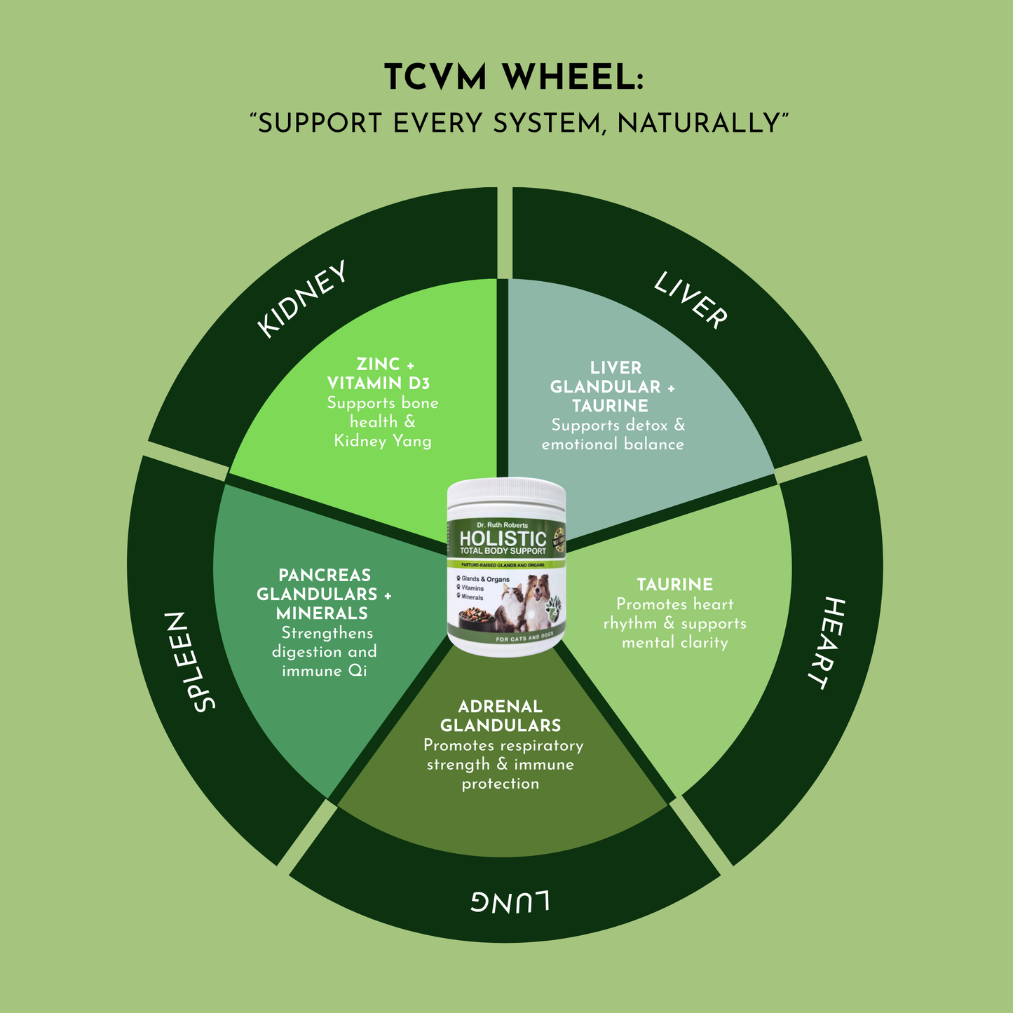 Holistic Total Body Support Multivitamin for Dogs & Cats
