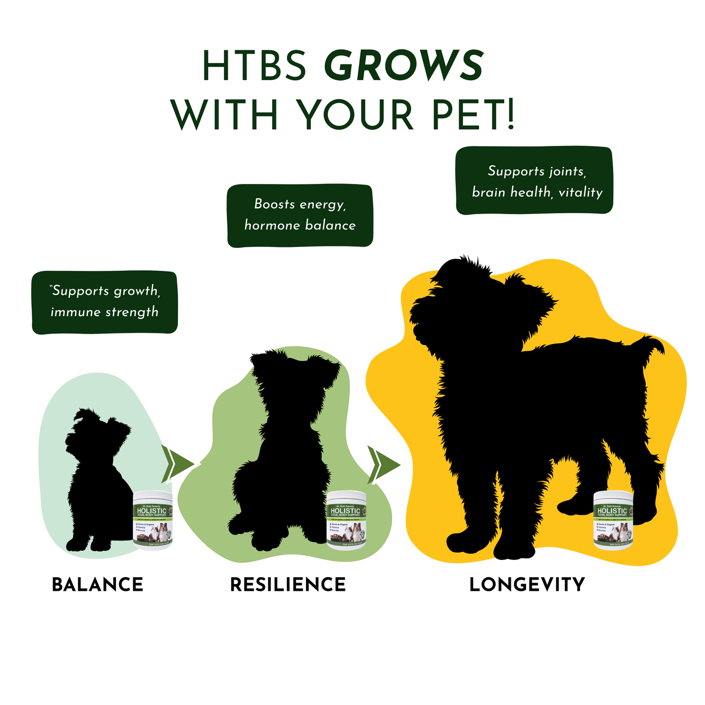 Holistic Total Body Support Multivitamin for Dogs & Cats