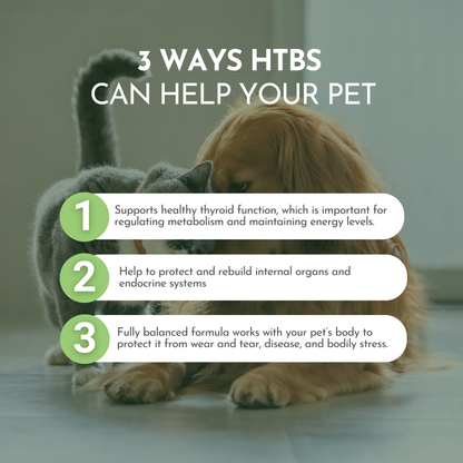 Holistic Total Body Support Multivitamin for Dogs & Cats