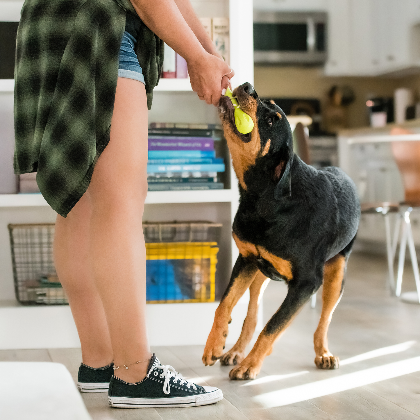Hurley Dog Bone Toy – Tough Chew & Fetch Toy