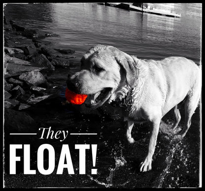 WUNDERball Fetch Toy – Natural Rubber Dog Ball