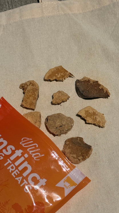 Wild Instinct Freeze-Dried Beef Liver Dog Treats - 2.1 oz