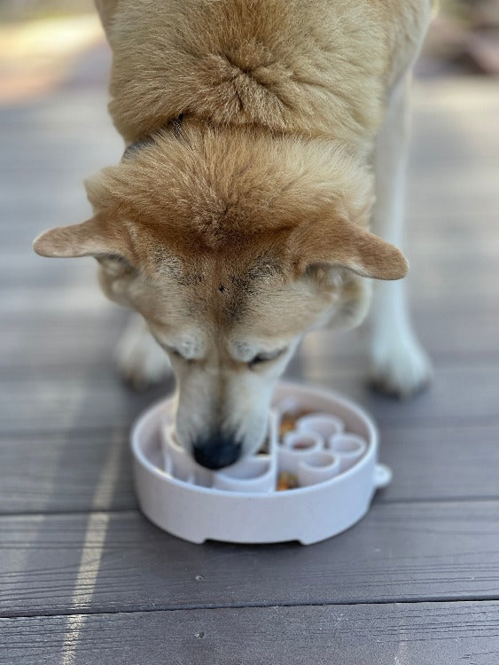SodaPup Java Slow Feeder Dog Bowl – Deep Enrichment Bowl