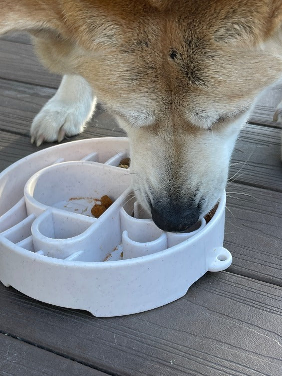 SodaPup Java Slow Feeder Dog Bowl – Deep Enrichment Bowl