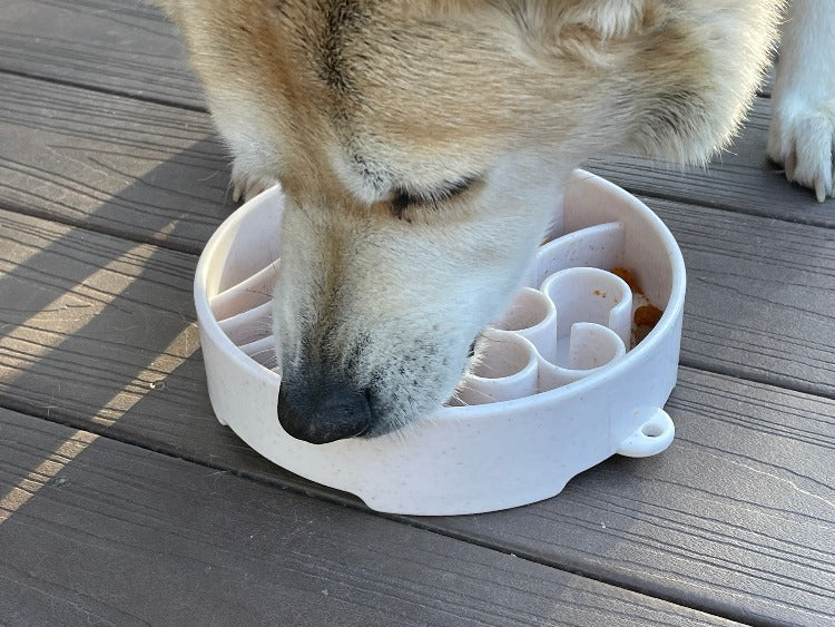 SodaPup Java Slow Feeder Dog Bowl – Deep Enrichment Bowl