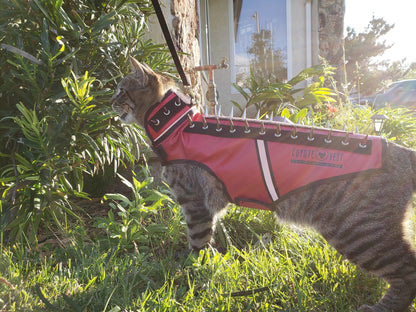 SpikeVest for Cats – Protective Spiked Cat Vest