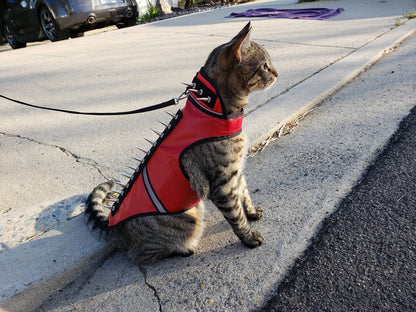 SpikeVest for Cats – Protective Spiked Cat Vest
