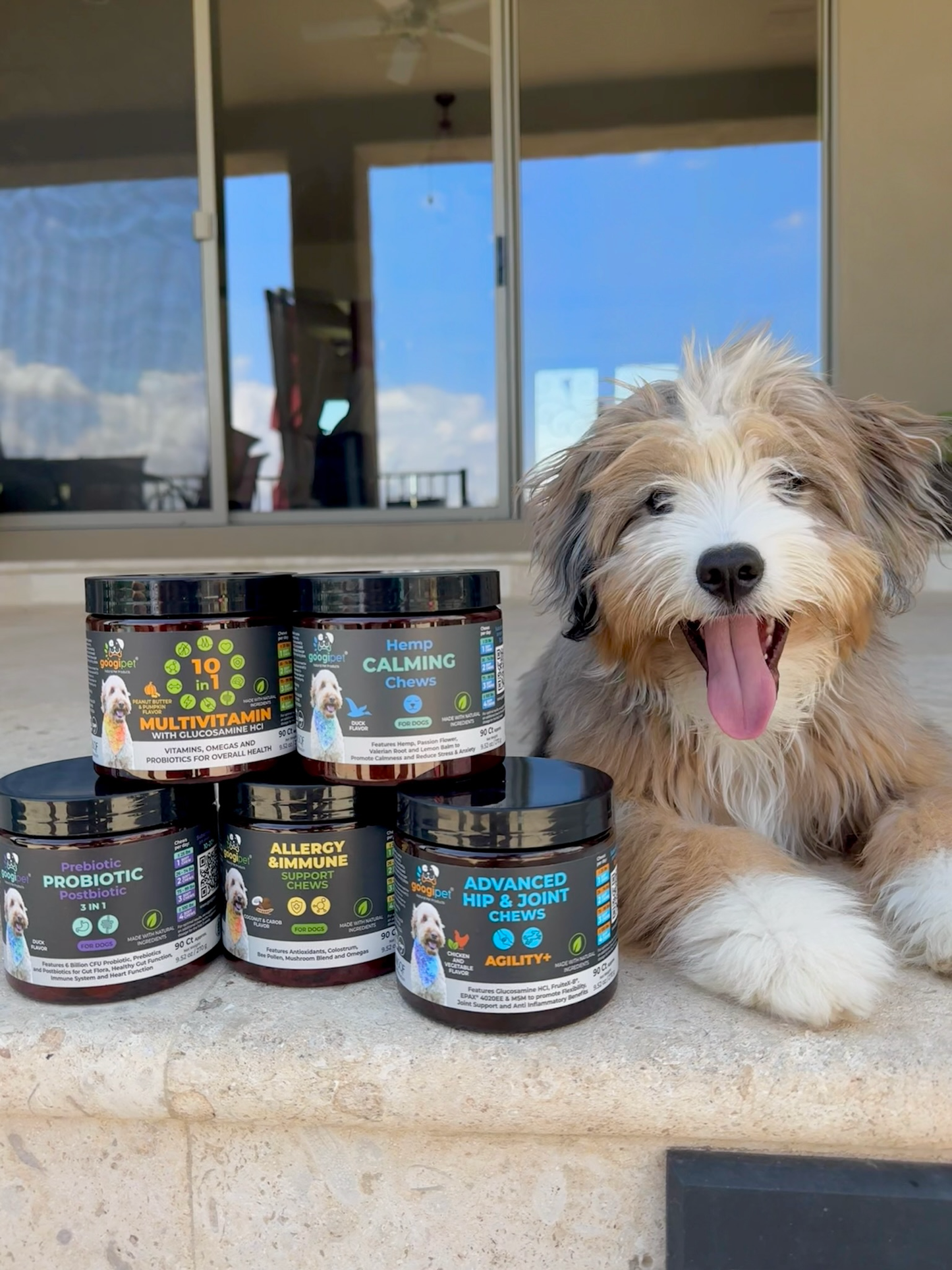 Googipet Allergy & Immune Support Chews for Dogs – Peanut Butter