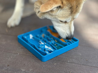 SodaPup Waiting Dogs eTray – Shallow Slow Feeder & Enrichment Tray