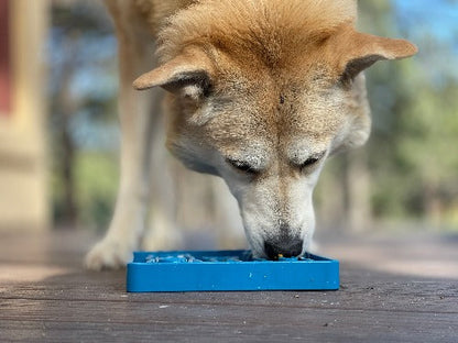 SodaPup Waiting Dogs eTray – Shallow Slow Feeder & Enrichment Tray