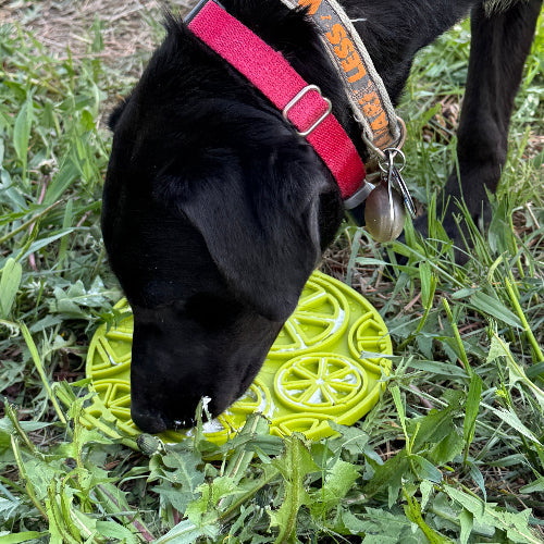 SodaPup Citrus Lick Mat – Enrichment Mat with Suction Cups