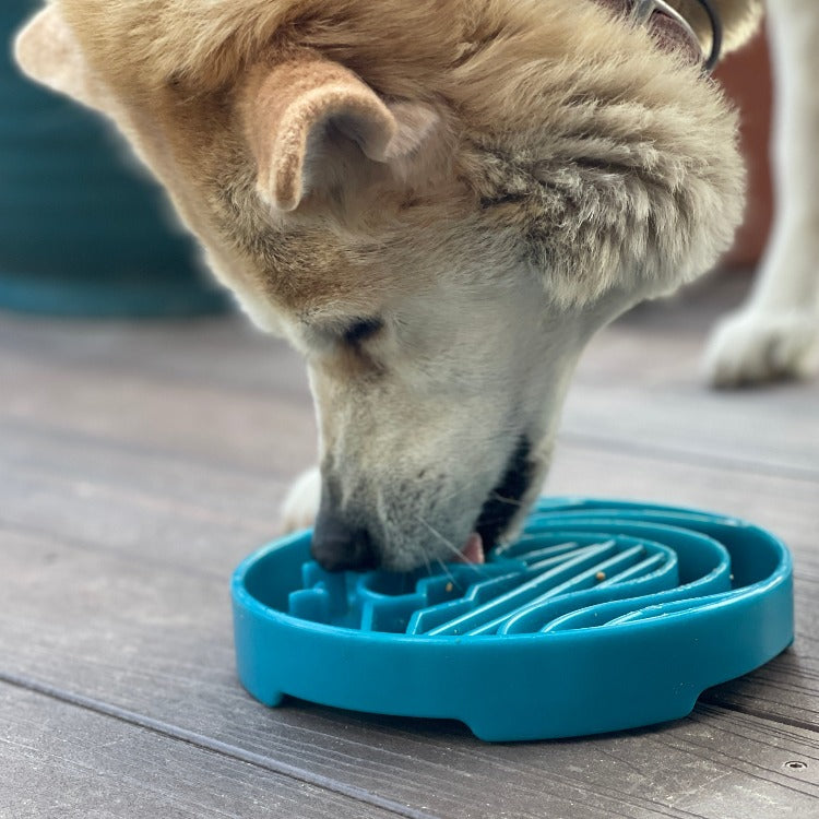Baja eTray Slow Feeder Dog Bowl – Shallow Enrichment Tray