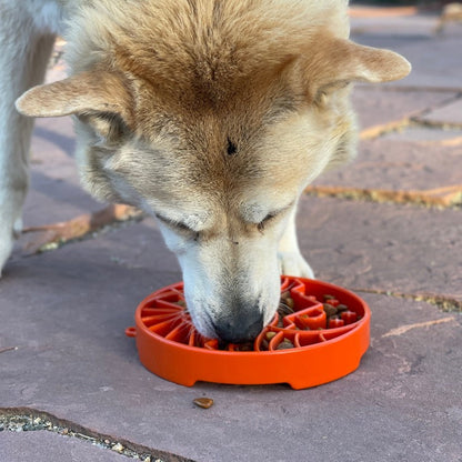 Sun & Moon eTray Slow Feeder Dog Bowl – Shallow Enrichment Tray
