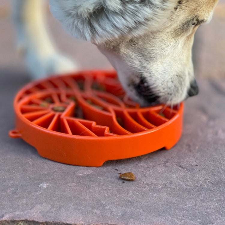 Sun & Moon eTray Slow Feeder Dog Bowl – Shallow Enrichment Tray